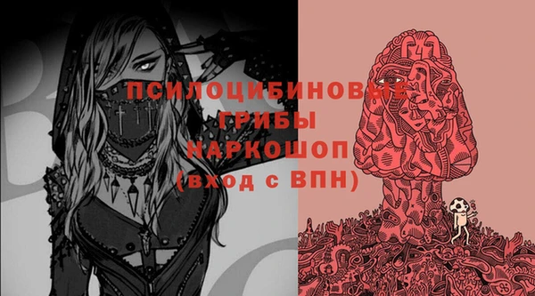 дурь Балахна